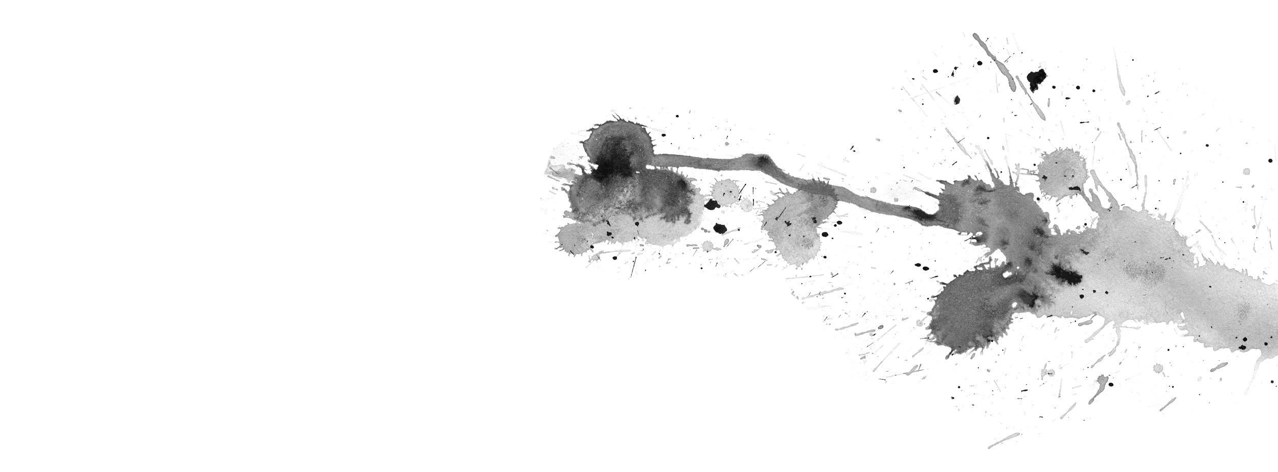 divider